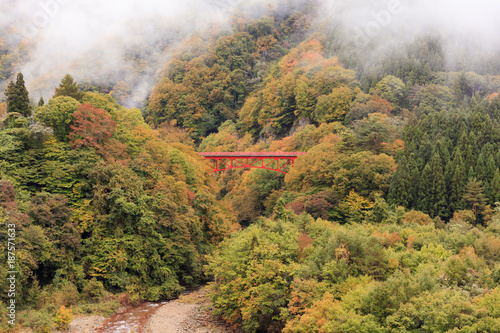 Autumn leaves, yellow leaves and Takai Bridge in the Matsukawa Valley