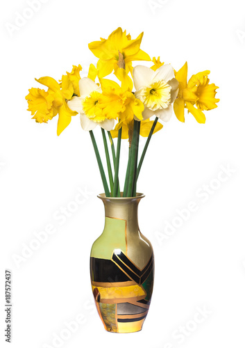 Fototapeta Naklejka Na Ścianę i Meble -  Narcissus flowers on white background