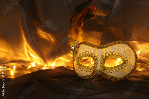 Image of elegant white venetian mask over tulle background.