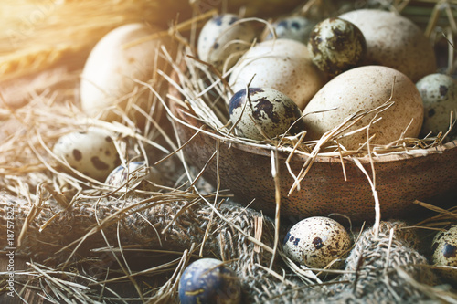 Goose and quail eggs against a dark background. Easter still life. photo