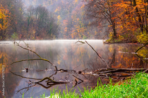 Foggy Morning Lillafured - Hungary