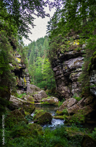 National park Bohemian Switzerland  Czech republic