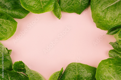 Leaves spinach as frame on pink background. Healthy dieting spring food.