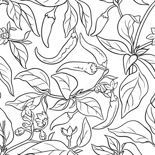 cayenne pepper seamless pattern