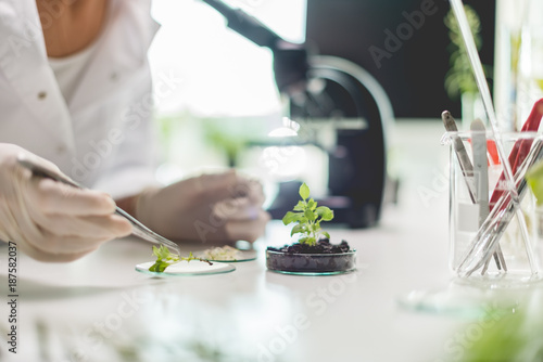 Biologist taking experiment with plants
