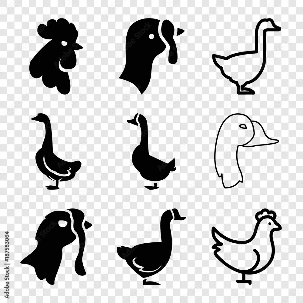 Obraz premium Set of 9 poultry filled and outline icons