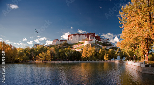 the sight of the Potala Palace in Lhasa, Tibet, China