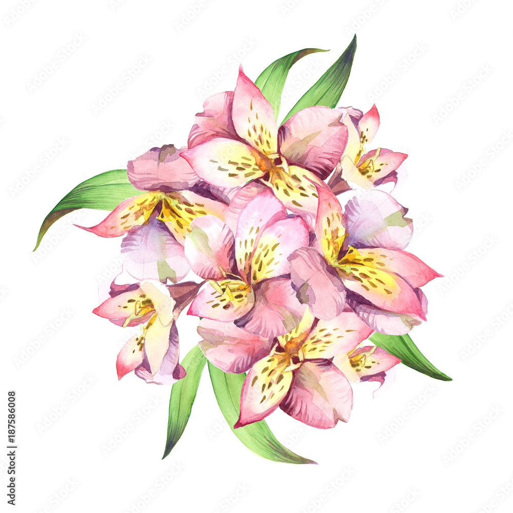 Naklejka premium Watercolor bouquet of pink flowers with green leaves isolated on white background