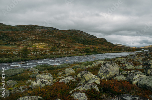 river stream going through stones and hills on field, Norway, Hardangervidda National Park