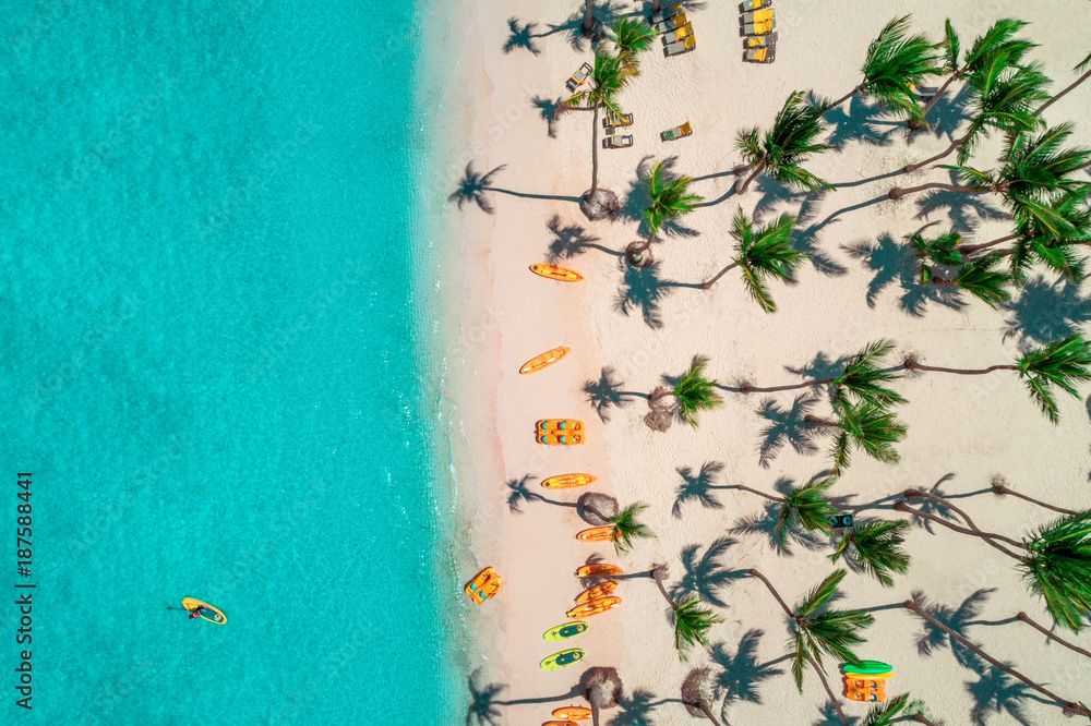 Aerial view of tropical beach, Dominican Republic - obrazy, fototapety, plakaty 