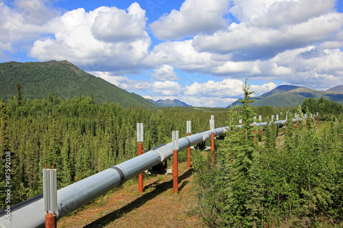 Oil pipeline along Dalton Highway, leading from Valdez, Fairbanks to Prudhoe Bay, northern Alaska, USA