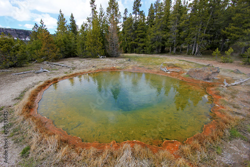 Nice colorful pool spring in Yellowstone National Park, Wyoming, USA