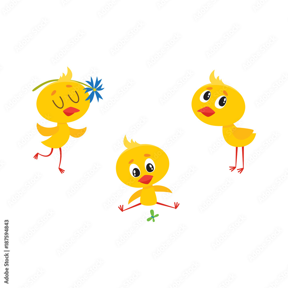 vector cartoon cute baby chicken characters set. Yellow small funny chicks playing with butterfly, flower and standing alone. Flat bird animal, isolated illustration on a white background.