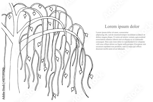 Romantic background with tree, Lorem ipsum, black and white hand drawn stock vector illustration