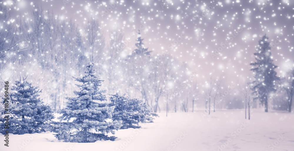 Fototapeta premium Christmas background with fir trees