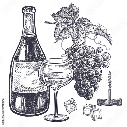 Wine and grapes set.