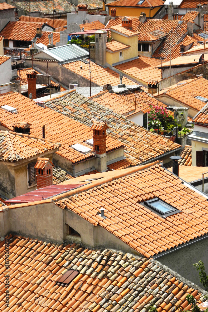 Old rustic roofs