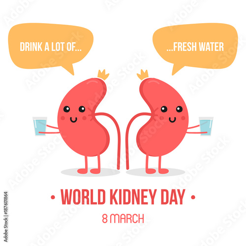 Vector illustration for world kidney day with couple of kidneys characters, holding glasses of water.