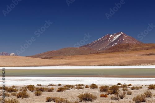 Bolivia desert landscape