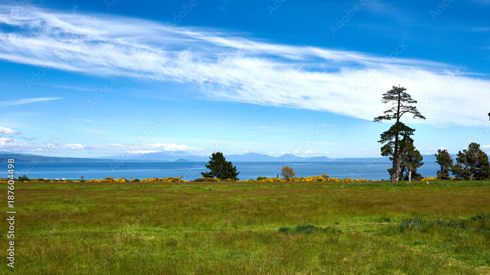 Obraz premium Snow capped peak of Mount Ruapehu covered by clouds seen across Lake Taupo in New Zealand