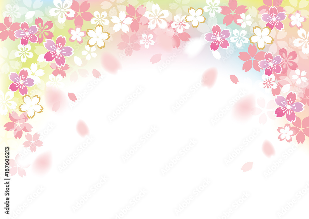 桜 フレームふわり カラー