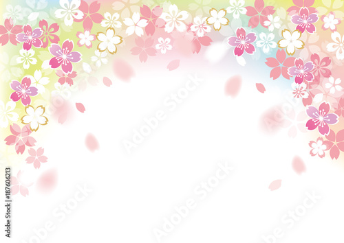 桜 フレームふわり カラー