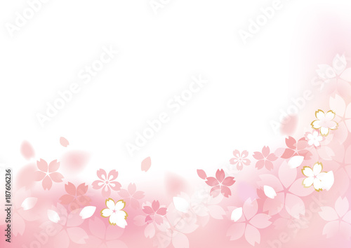 桜 フレームふわり 下四