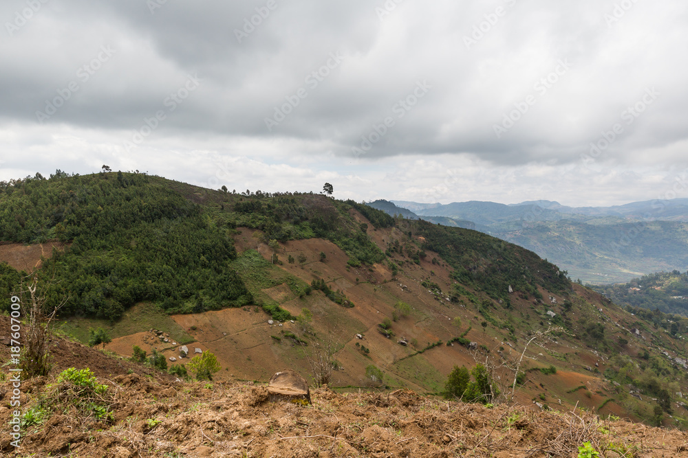 Usambara-Berge - Tansania Usambara-Berge - Tansania