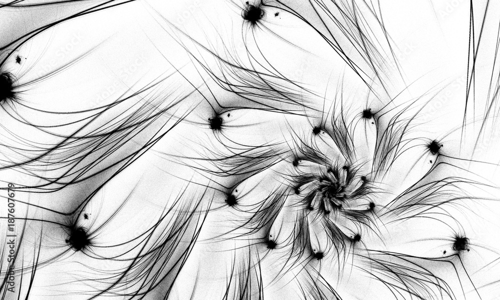 Obraz premium Black and white fractal. Fractal art background for creative design. Decoration for wallpaper desktop, poster, cover booklet. Abstract wallpaper. Psychedelic. Print for clothes, t-shirt.