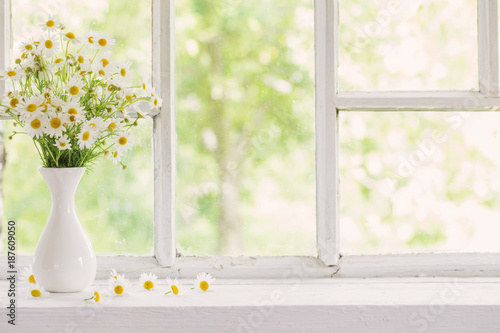 chamomile in vase on windowsill