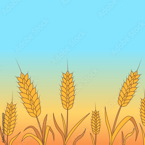 Golden,wheat,background with ripened seeds
