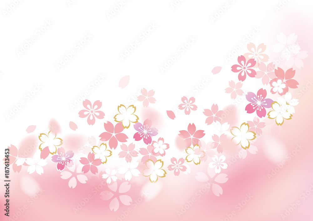 桜 フレームふわり 下 カラー