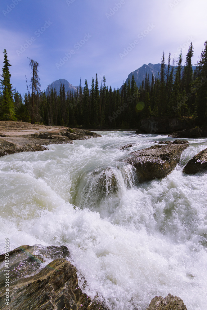 Glacier white river and falls in forest landscape in Rocky mountains in Canada Glacier white river and falls in forest landscape in Rocky mountains in Canada