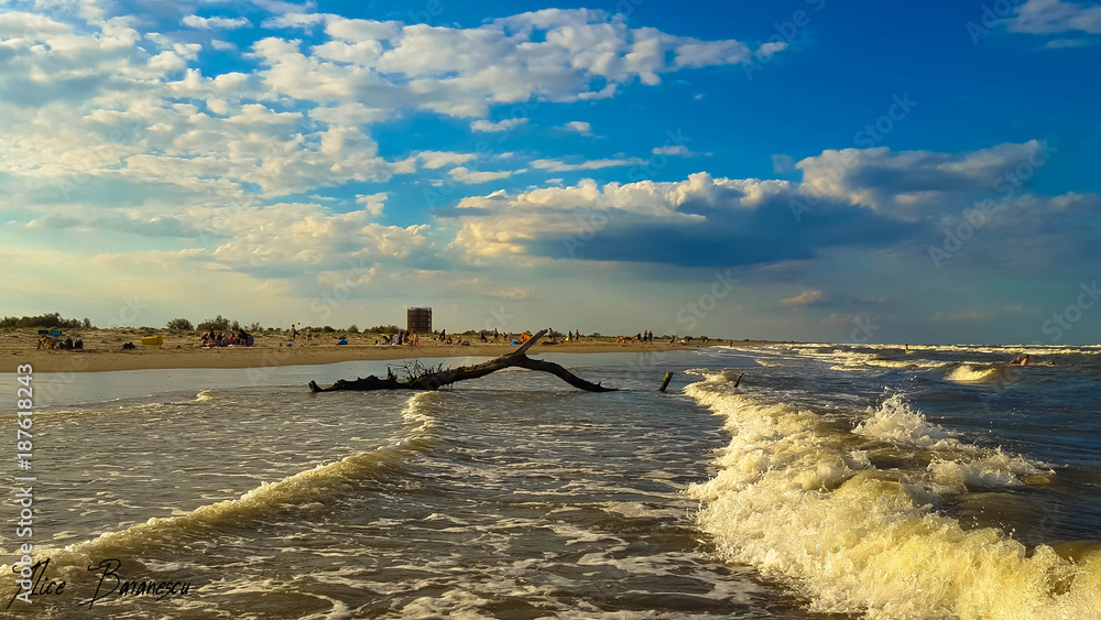 Obraz premium Delta Danube beach wildlife