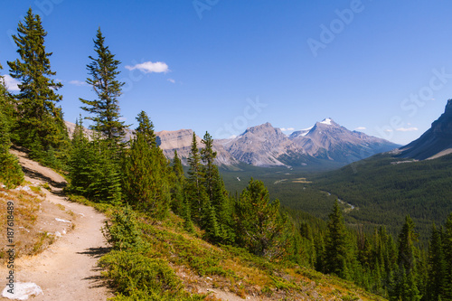 Beautiful hike trail in forest in Rocky Mountains in Canada on sunny day