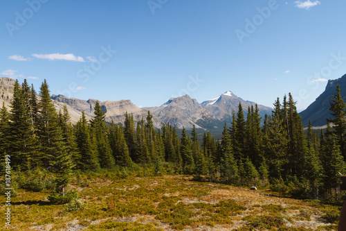 Scenic valley with river in Rocky Mountains in Canada on sunny day © Martin Hossa