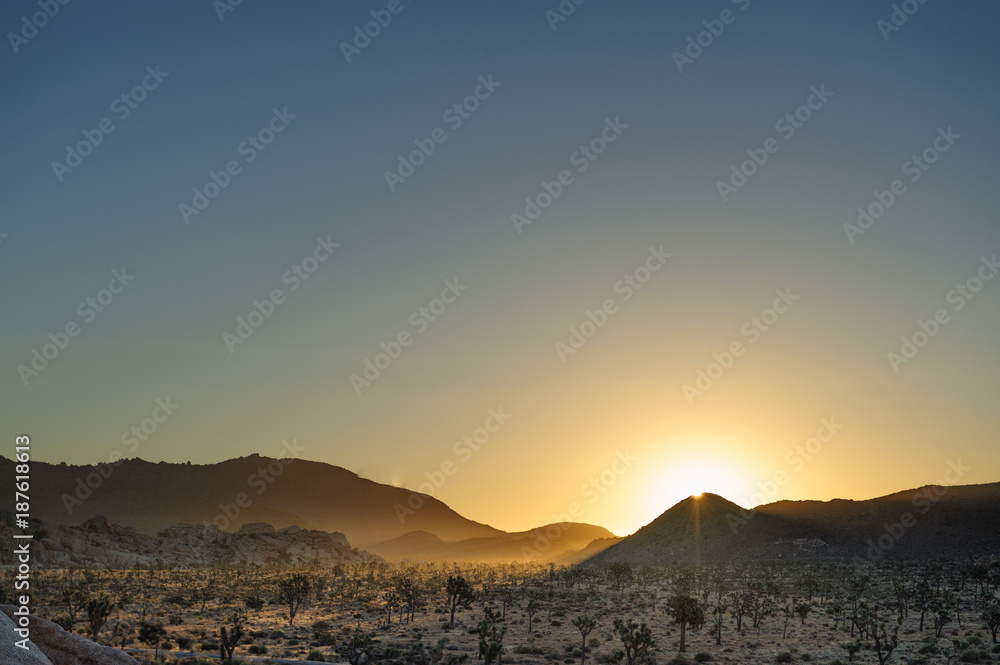 Sunrise over Joshua Tree National Park Sunrise over Joshua Tree National Park