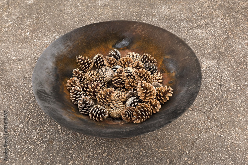 Canvas Print Pine Tree Cones in a Bowl