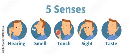 Set of five human senses icon: hearing, smell, touch, vision, taste. Icons with funny man character in circles. Vector illustration for kids, isolated on white background.