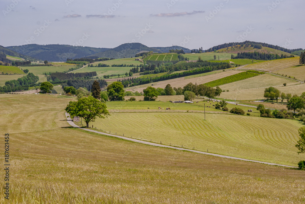 Fototapeta premium Sauerland