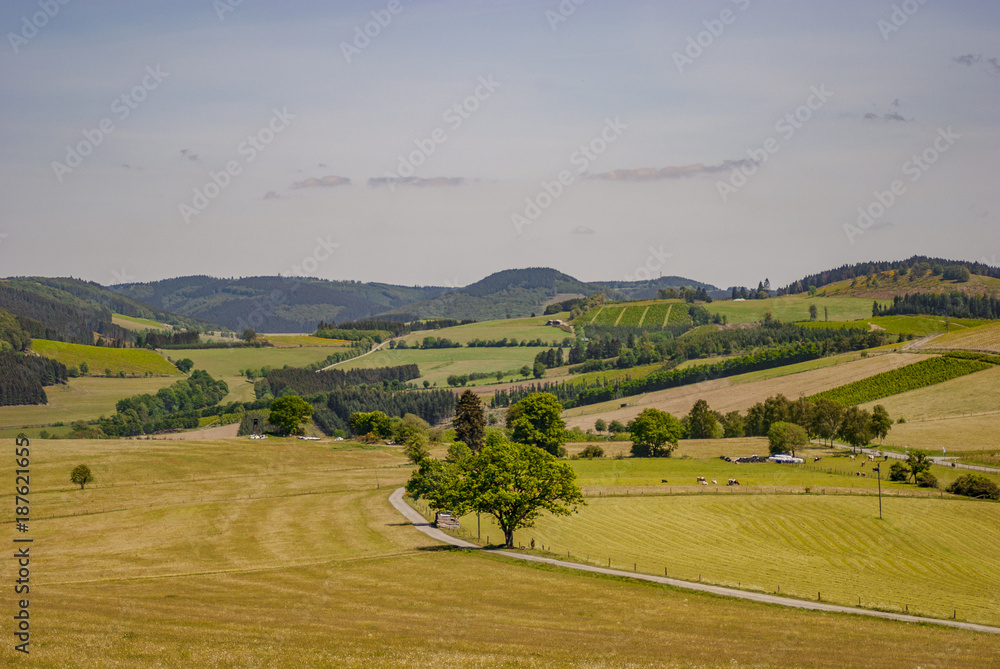 Fototapeta premium Sauerland
