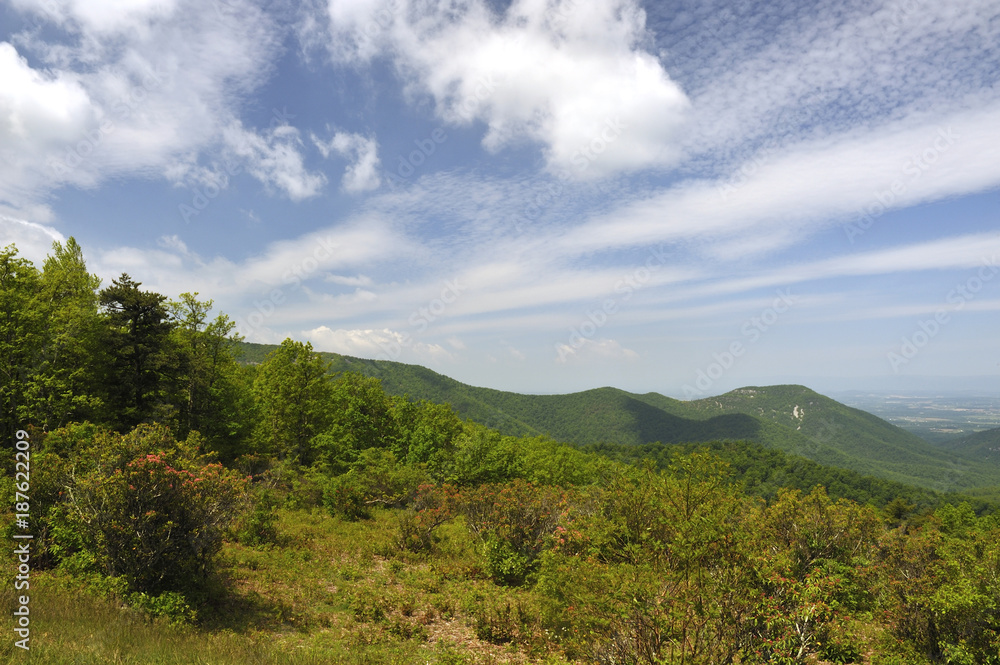 View from Shenandoah Skyline Drive, Virginia