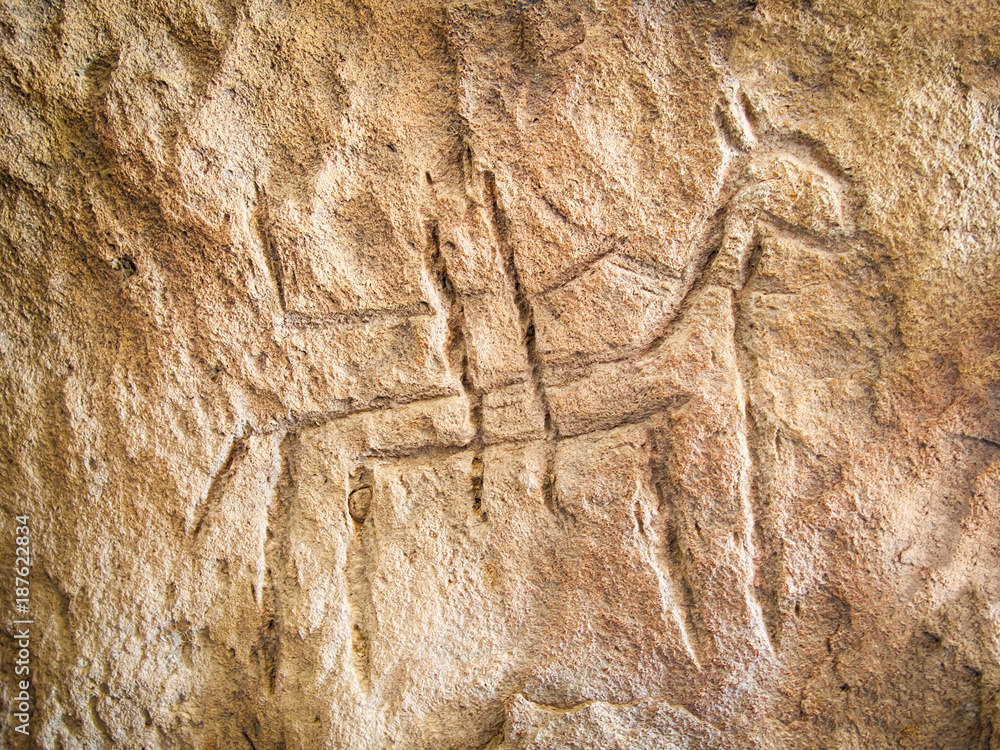 Naklejka premium Real petroglyph in the Gobustan National Park, Azerbaijan