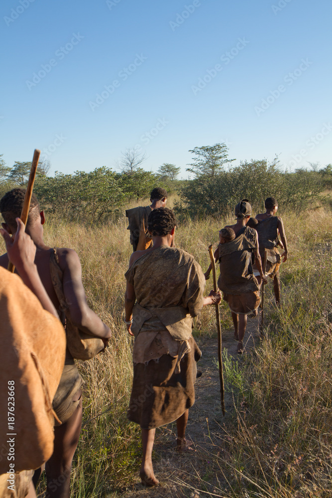 bushmen of the kalahari desert in africa