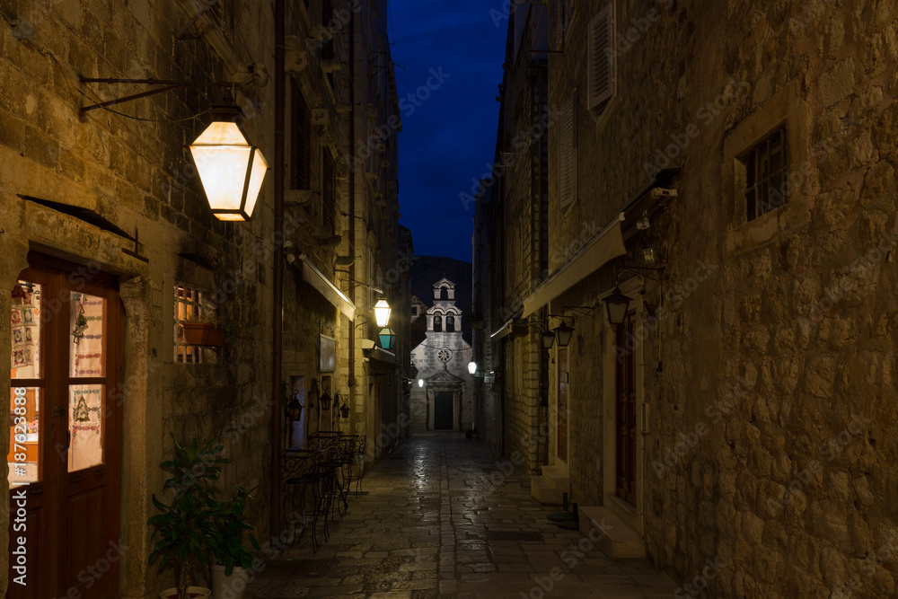 Dubrovnik, night view of the Church of St. Dominic of their alley, lit by street lamps. Croatia.
