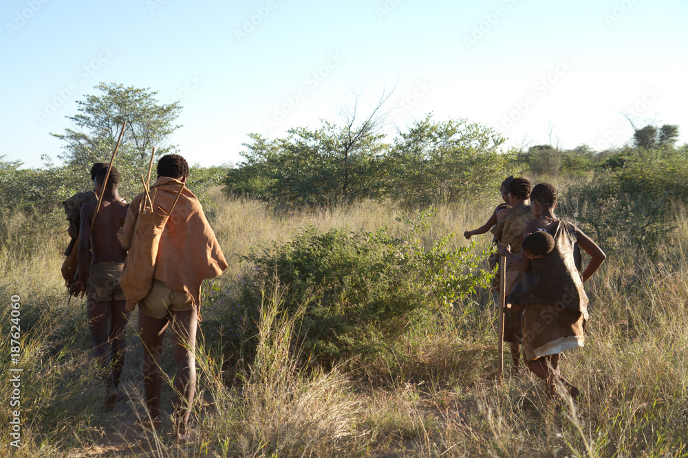 bushmen of the kalahari desert in africa