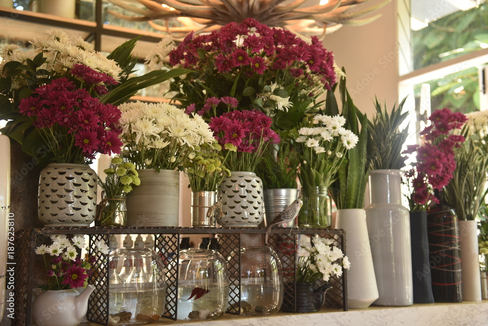Fototapeta premium Flowers