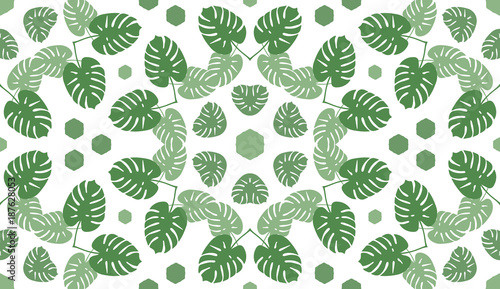 Wallpaper Mural Trendy Tropical Leaves Background. Vector Pattern. Torontodigital.ca