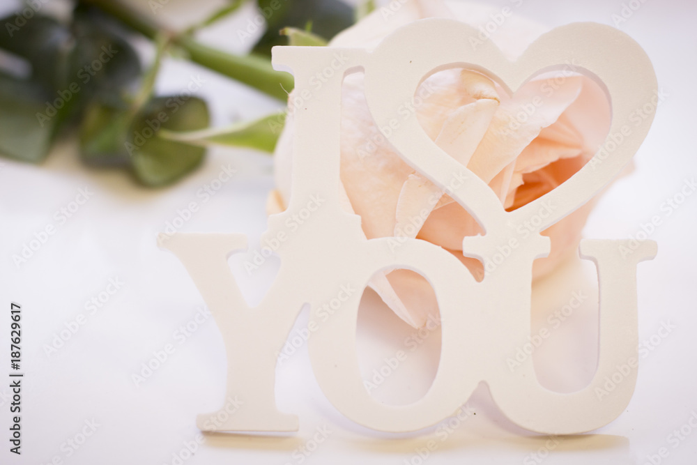 Fototapeta premium St. Valentine's Day concept with a beautiful white rose and I Love You inscription, close up, white background