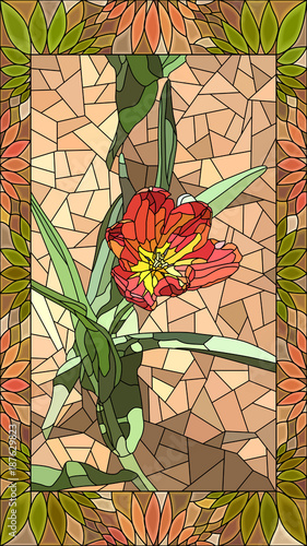 Vector illustration of red tulip.